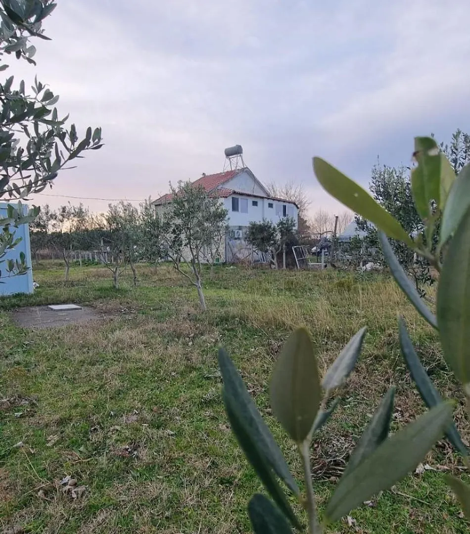 Camping Lagoon View Cabin Albanië